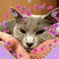 おささん 会員画像