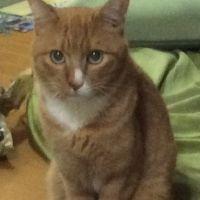 かよすけっち 会員画像