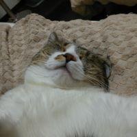 会員画像