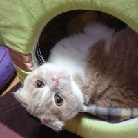 hirocoo 会員画像