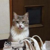 なっちむ 会員画像