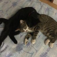 なぉちぃ 会員画像