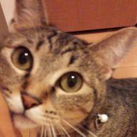 会員画像