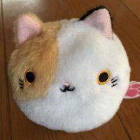 サラさん 会員画像
