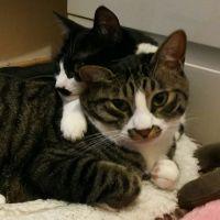 つむぎいと 会員画像