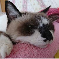あき09 会員画像