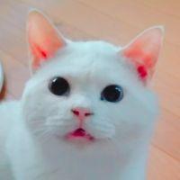 会員画像