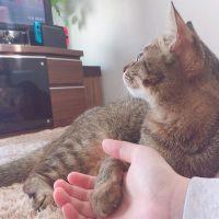 よしゅあ*° 会員画像