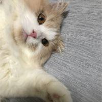 ソーちゃん 会員画像