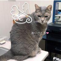 ちぃぽんちゃんさん