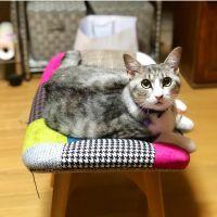 会員画像