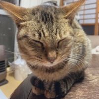 会員画像