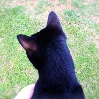 ざらめちゃん 会員画像