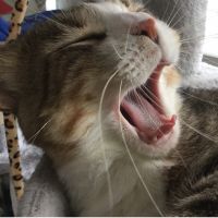 会員画像