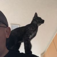 ネオ空 会員画像