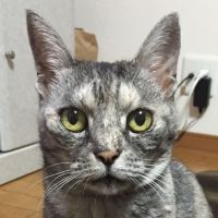 ぺなさん