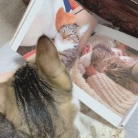 ちぴたくぅさん