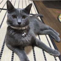 kaykayさん