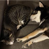 会員画像