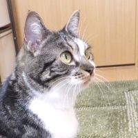 120さん