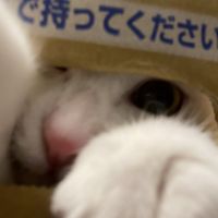 むつみ♡ 会員画像