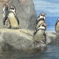 のじ太 会員画像