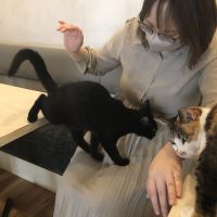 もみよ 会員画像