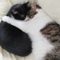 ちー* 会員画像