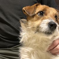 ちびと 会員画像