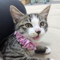 みずちゃんママ 会員画像