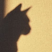 ぱすかる 会員画像