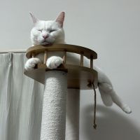 ももちなさん