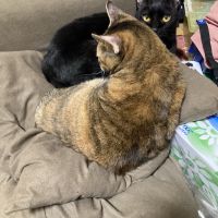 もぐもぐさんさん