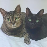 たけちよまるさん