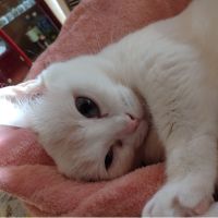 Tacanaさん