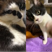 ぼにぃ。 会員画像