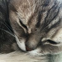 ricca_ricca 会員画像