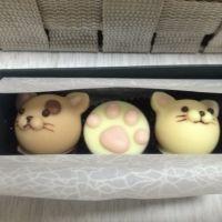 origa0513 会員画像