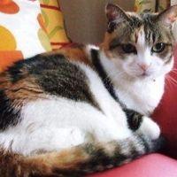 くままみ 会員画像