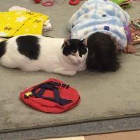 のり(^_^) 会員画像