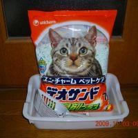 ねこぱら 会員画像