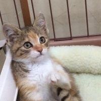 なおにゃん0306 会員画像