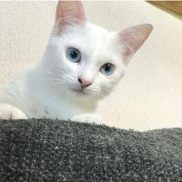 会員画像