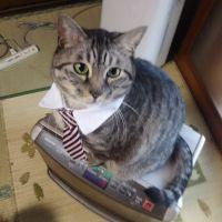 ケケママ 会員画像