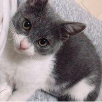 maaa412 会員画像