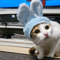 会員画像