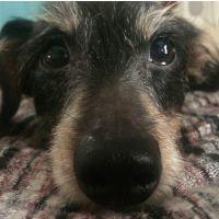 ぺちょん 会員画像