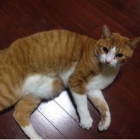 会員画像