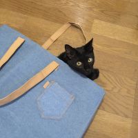 ヒトミン 会員画像