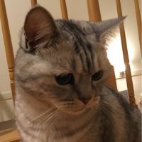 会員画像